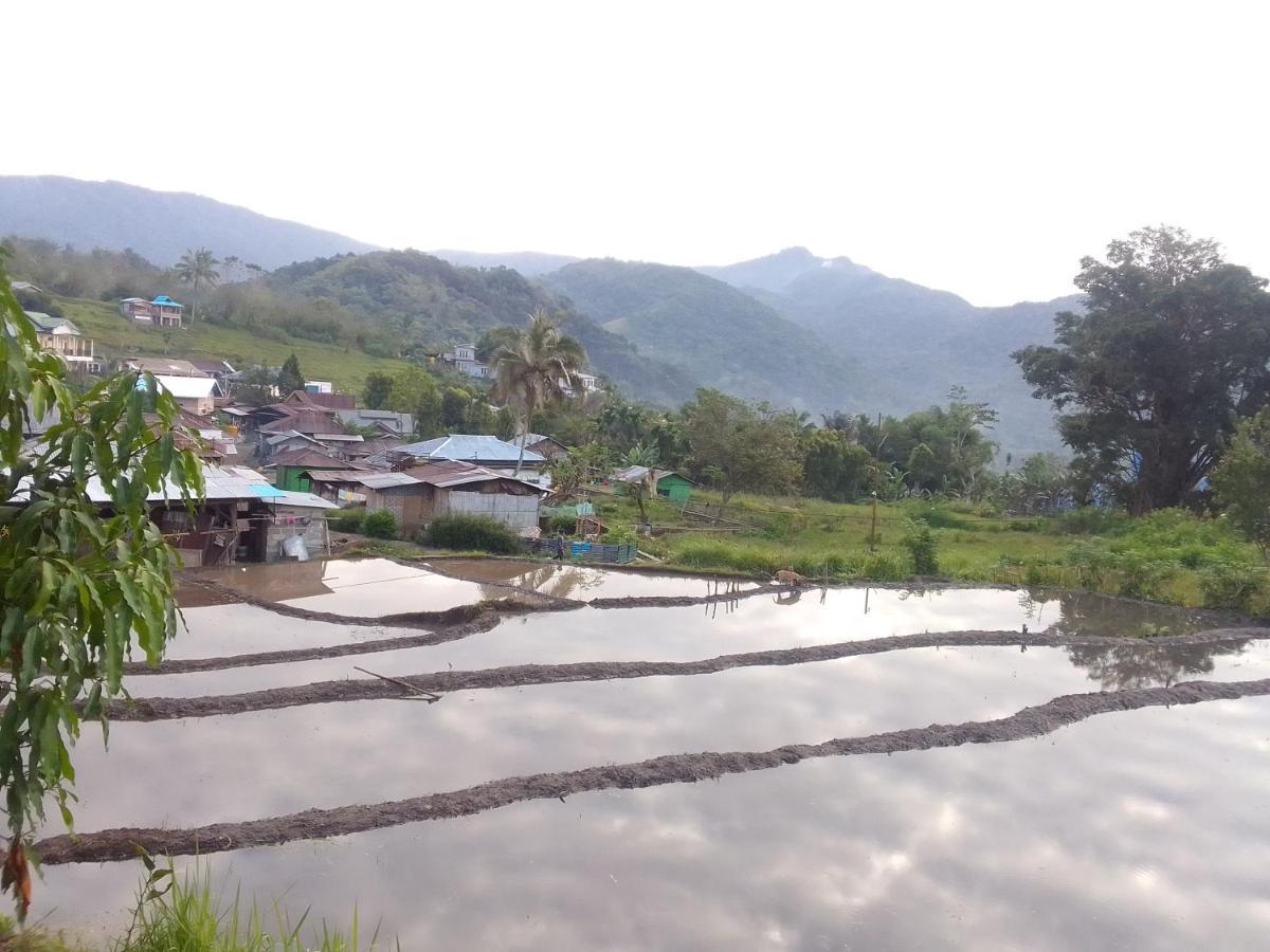 Shila Guest House Kelimutu Bagian luar foto
